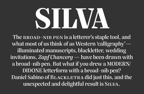 silva-display preview 4