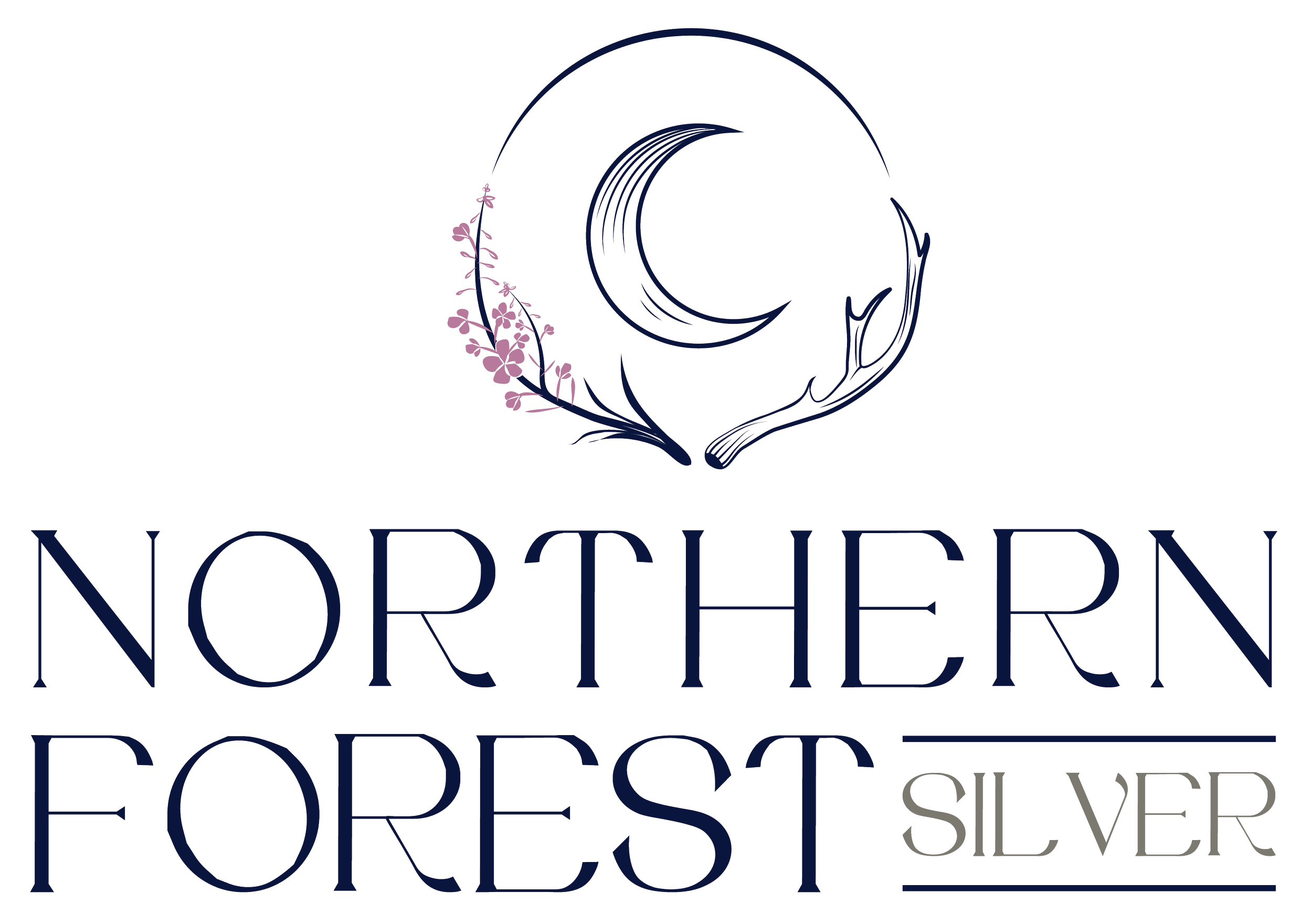 silver-northern font preview - main display