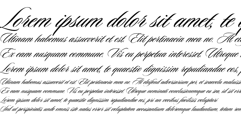 sloop-script preview 5