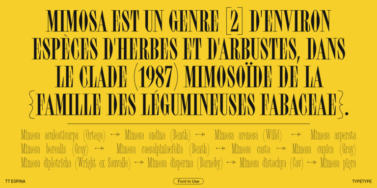 sole-serif-variable preview 1