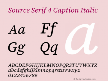 source-serif-4-caption preview 1