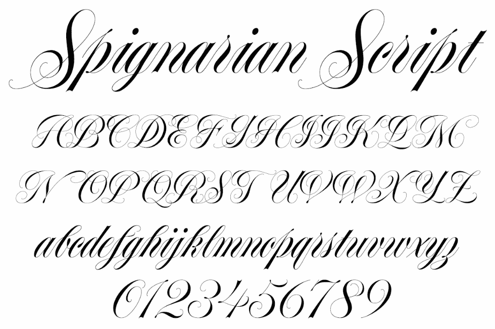 spignarian-script preview 5