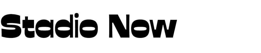 stadio-now-devanagari-variable preview 1