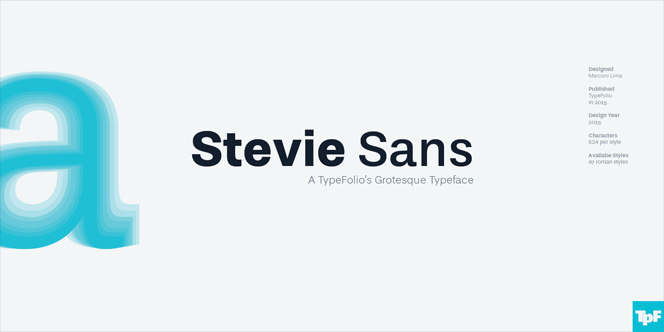 stevie-sans preview 4