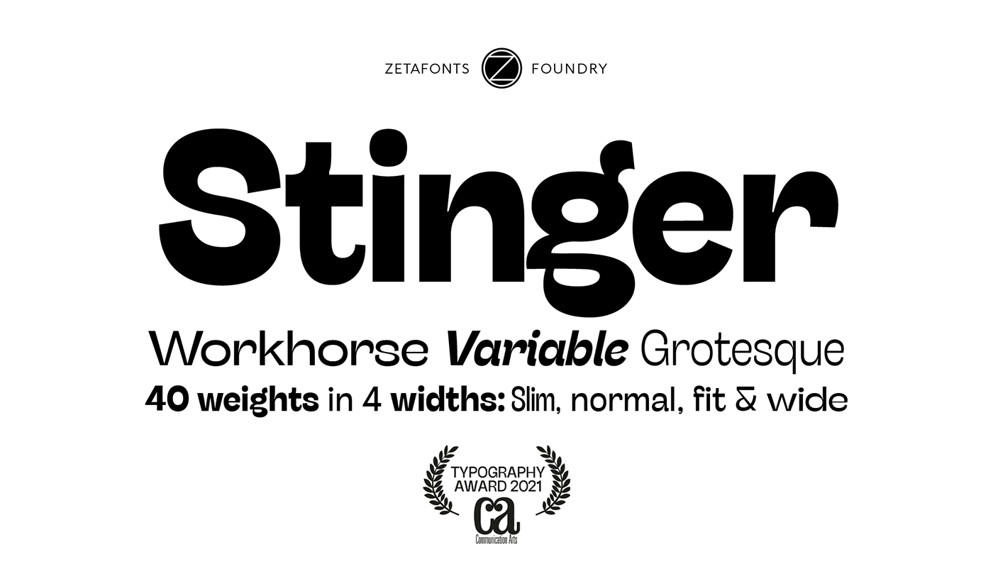 stinger-variable preview 3