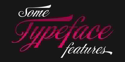 storefront-pro preview 3