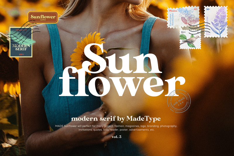 sunflower preview 4