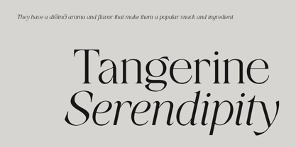 tangier preview 3