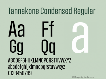 tannakone preview 4