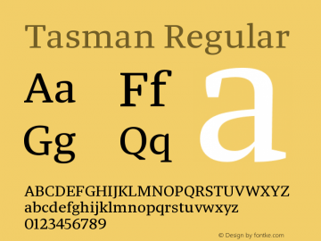 tasman preview 2