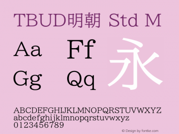 tbudmincho-std preview 4
