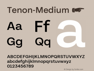 tenon preview 4