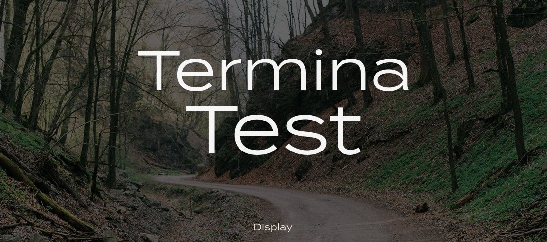 termina preview 1