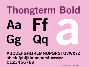 thongterm preview 5