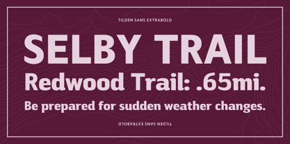 tilden-sans-variable preview 5