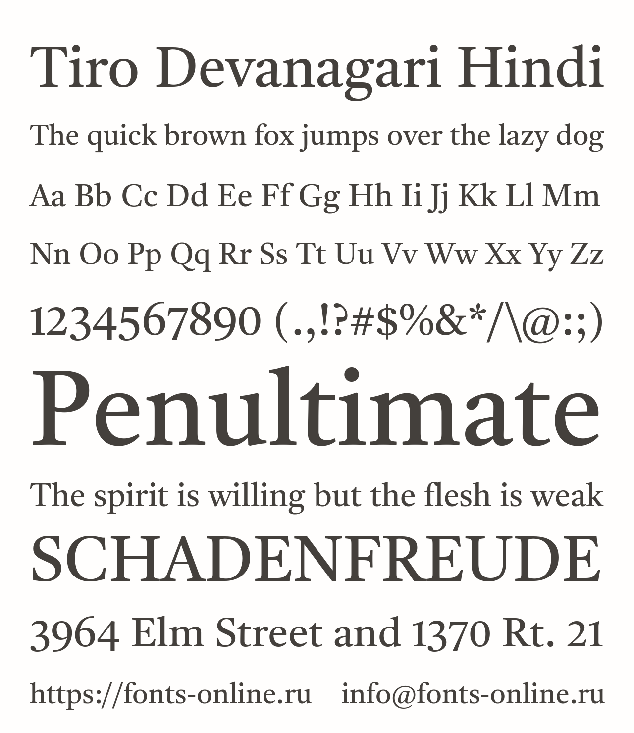 tiro-devanagari-hindi preview 1