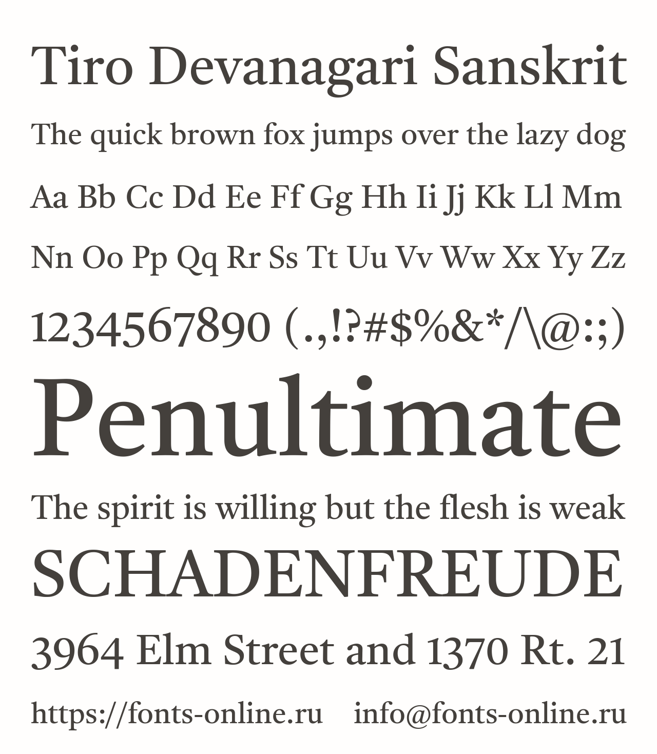 tiro-devanagari-sanskrit preview 3