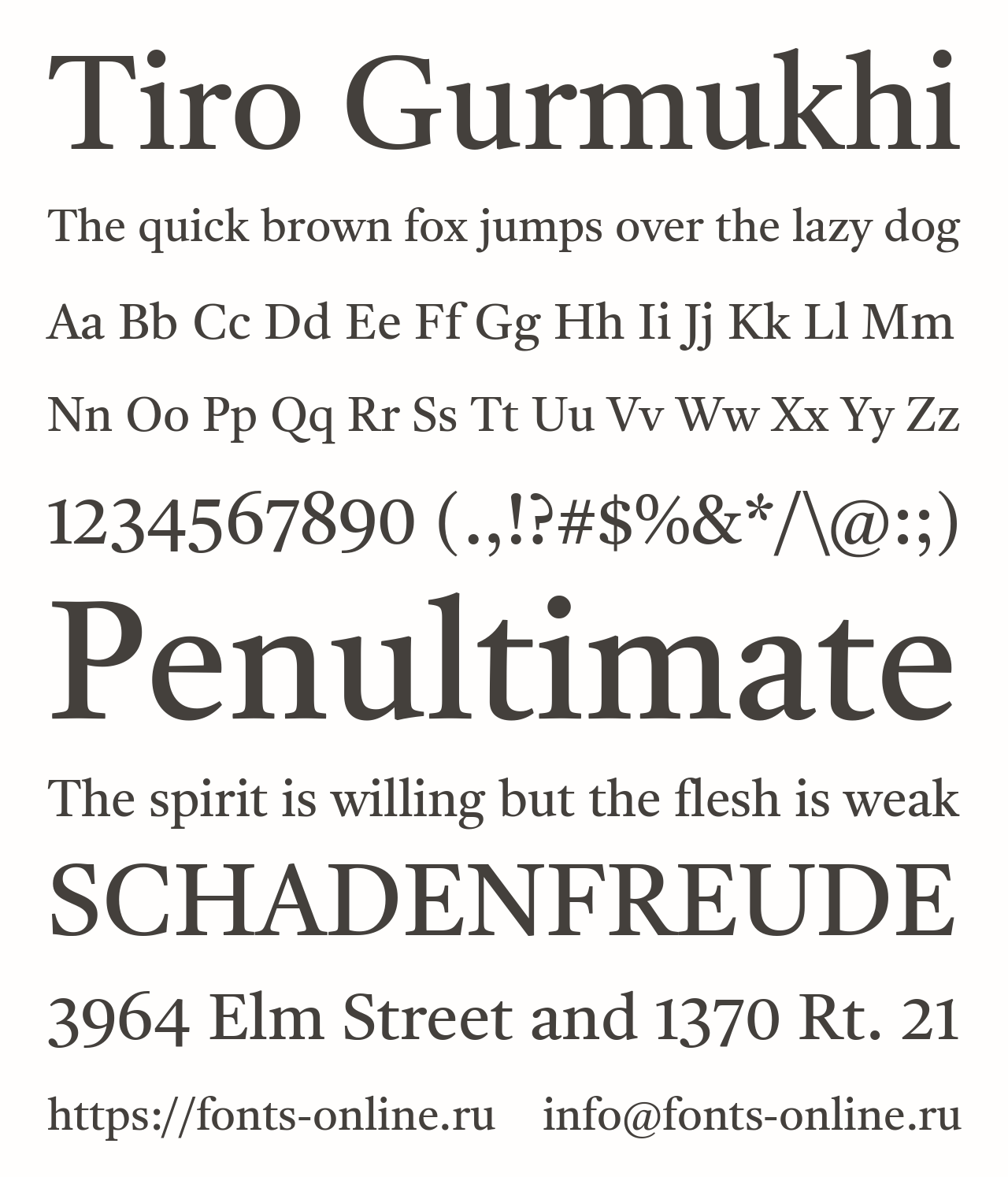 tiro-gurmukhi preview 4