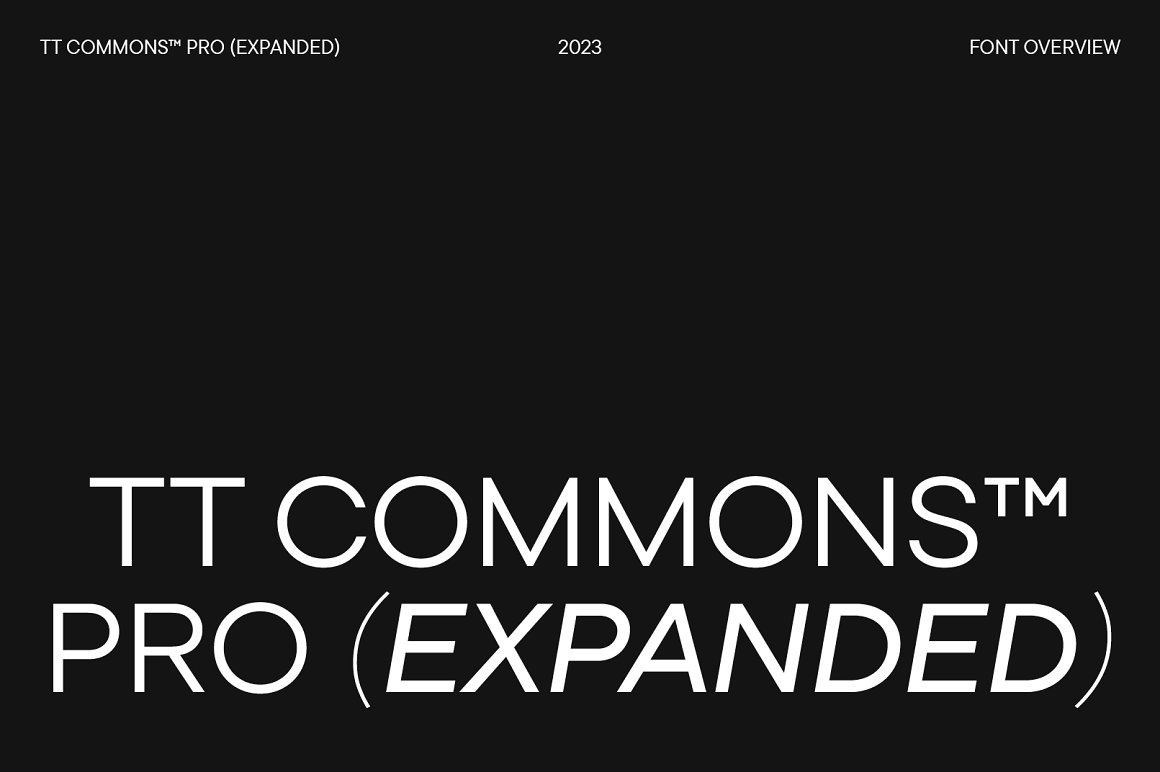 tt-commons-pro preview 4