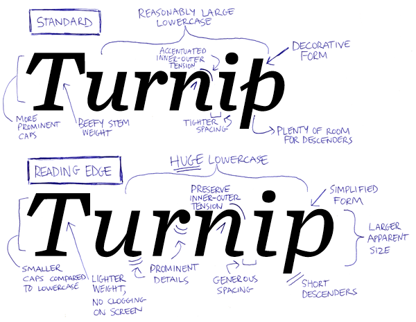turnip preview 2