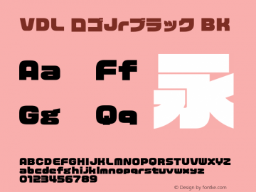 vdl-logojrblack preview 4