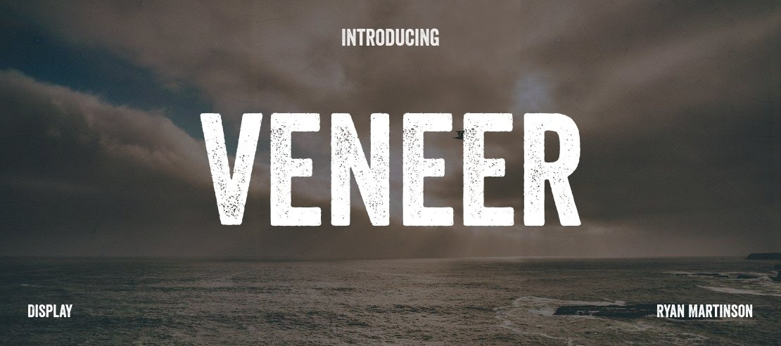 veneer preview 3