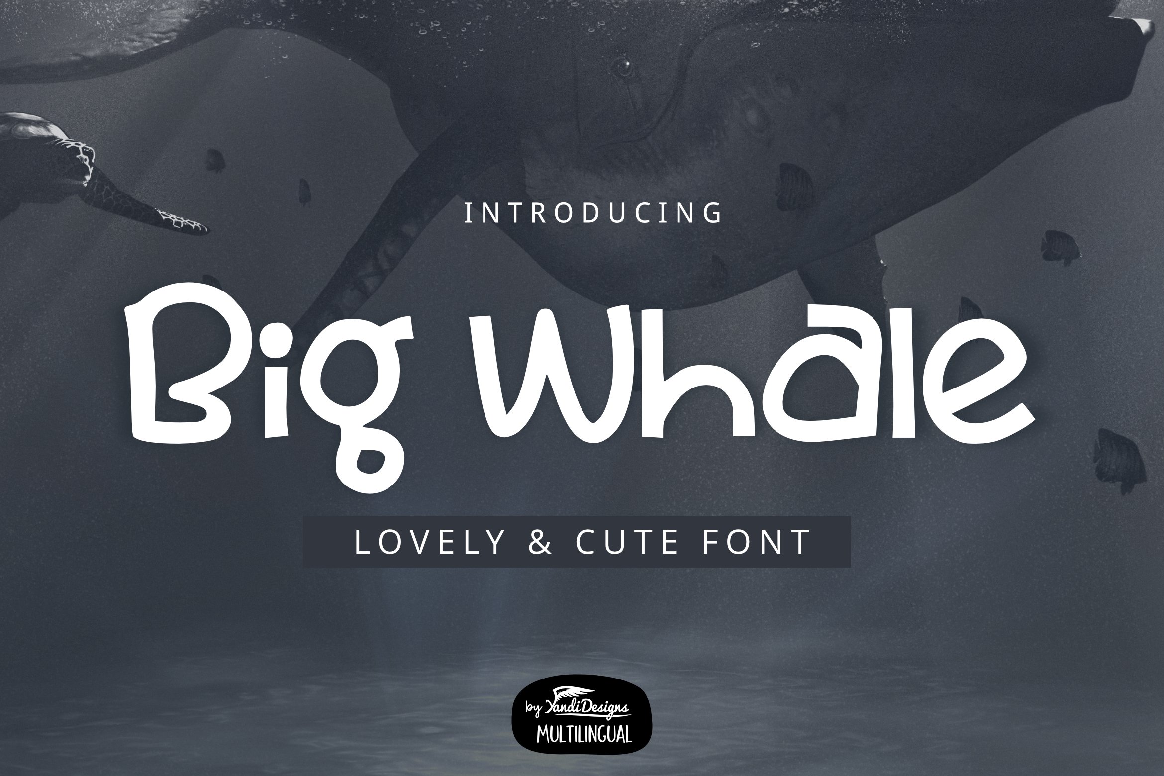 whale preview 1