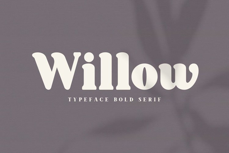 willow preview 2