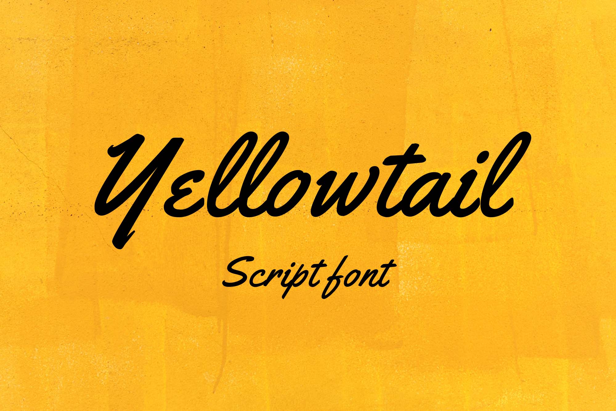 yellowtail preview 2