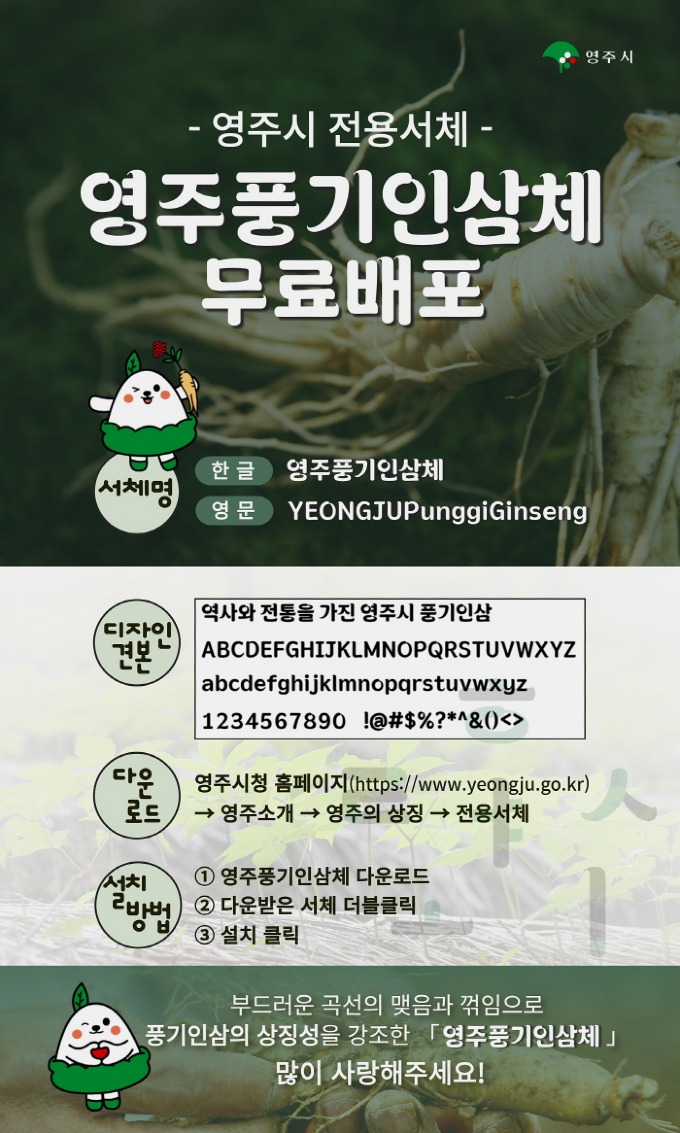 yeongjupunggiginseng preview 4