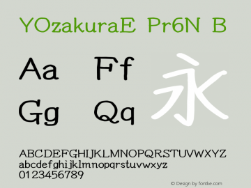 yu-minchotai-pr6n-r font preview - main display