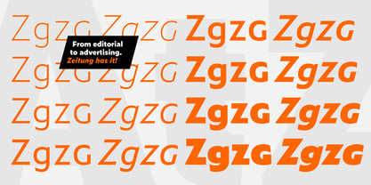 zeitung-pro-variable preview 3