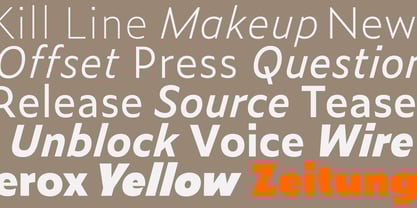 zeitung-pro-variable preview 2